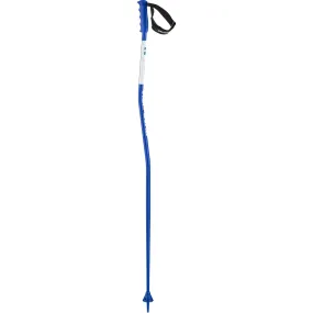Salomon S/Race Gs